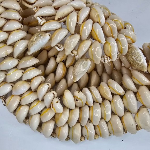 Natural Sea Shell Trivet Hot Pad Doily Nautical Wall Decor Beach House 9” - Picture 6 of 7